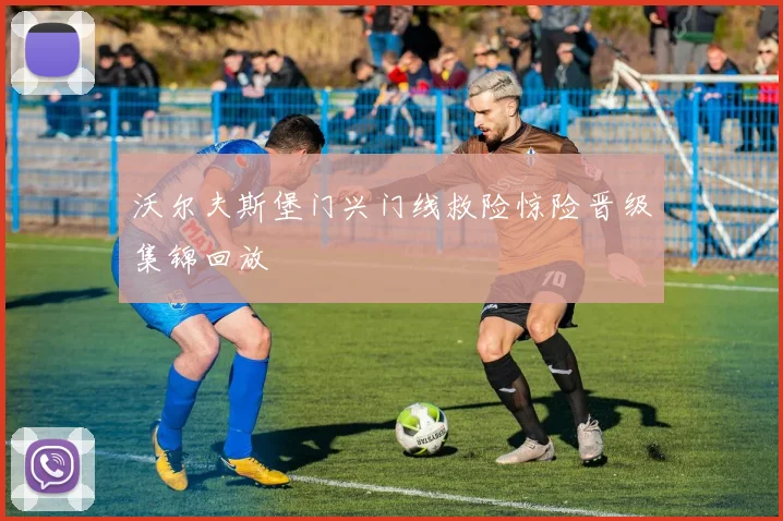 沃尔夫斯堡门兴门线救险惊险晋级集锦回放