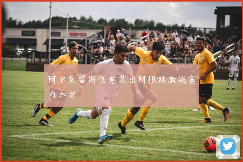 阿尔瓦雷斯伤愈复出阿根廷激战塞内加尔