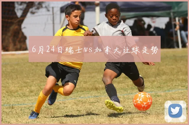 6月24日瑞士vs加拿大让球走势