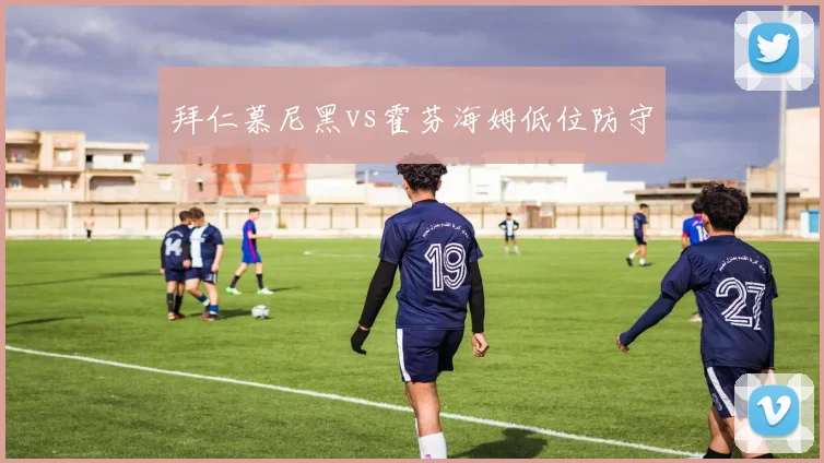 拜仁慕尼黑vs霍芬海姆低位防守