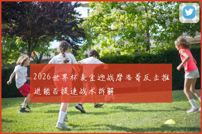2026世界杯麦金迎战摩洛哥反击推进能否提速战术拆解