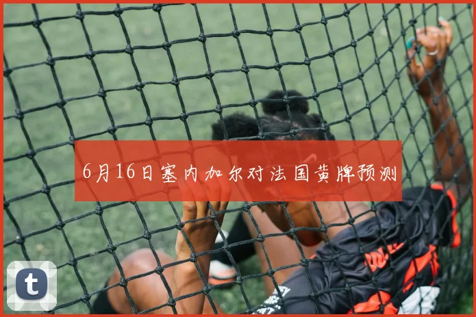 6月16日塞内加尔对法国黄牌预测
