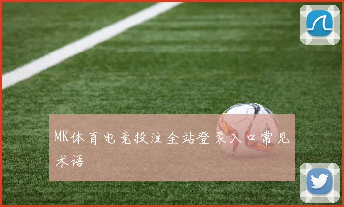MK体育电竞投注全站登录入口常见术语